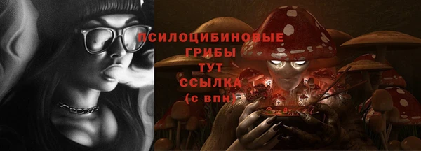 шишки Каменск-Шахтинский
