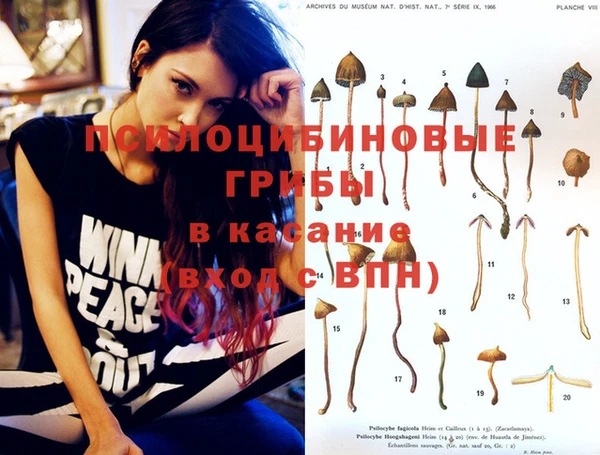 шишки Каменск-Шахтинский