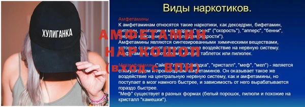 гашик Каменногорск